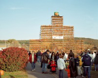 Pumpkin Festivals