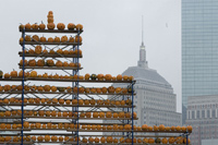 Halloween Pumpkin Jack O' Lanterns