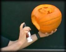 http://www.halloween-online.com/carve/halloween-pumpkin-carving-lifespan1.jpg