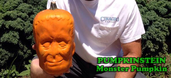 Pumpkin Carving - Pumpkinstein Pumpkins
