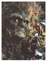 Swamp Thing Halloween Costume