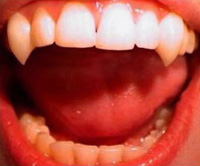 Dnash Traditional Vampire Fangs