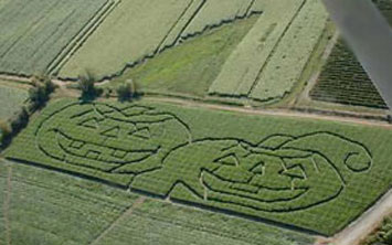 Halloween Yard Decorations on Halloween Decorations   Halloween Crop Circle