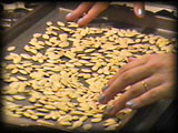 Arranging cleaned seeds on cookie sheet