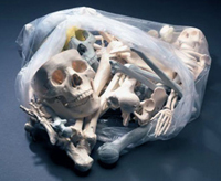 Coffin of Bones