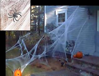 halloween_cobwebs_8b.jpg (28204 bytes)